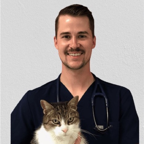 Dr. Michael Astin holding a cat