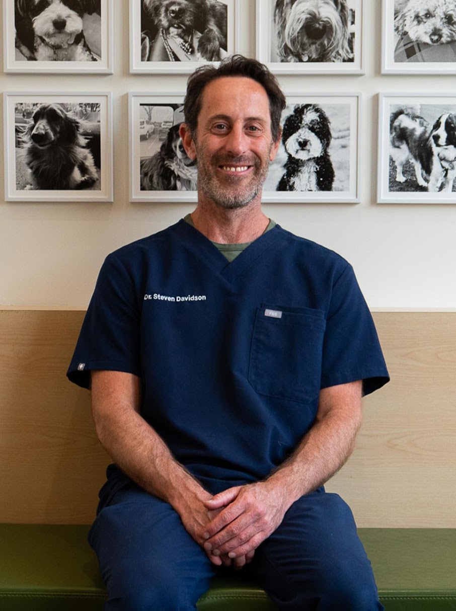 Dr. Steven Davidson seated in the Upper Village clinic
